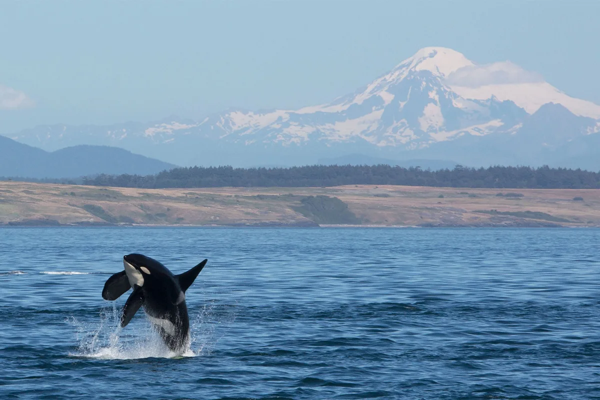 San Juan Islands